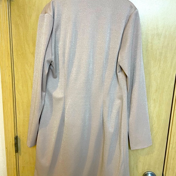 Light Pink Blazer with light sparkles. - Picture 2 of 3
